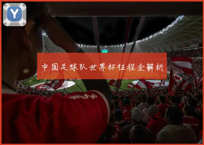 中国足球队世界杯征程全解析