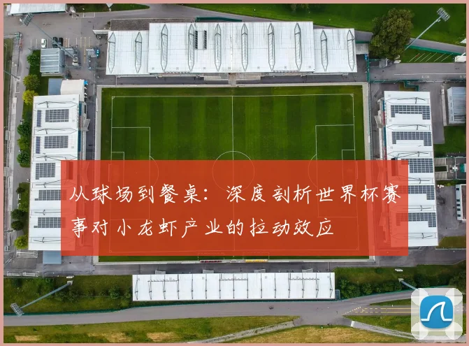从球场到餐桌：深度剖析世界杯赛事对小龙虾产业的拉动效应